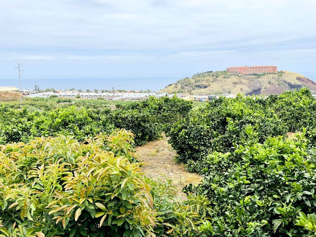 8 bedroom Finca/Country House for sale in La Orotava - € 1,400,000 (Ref: 9163184)