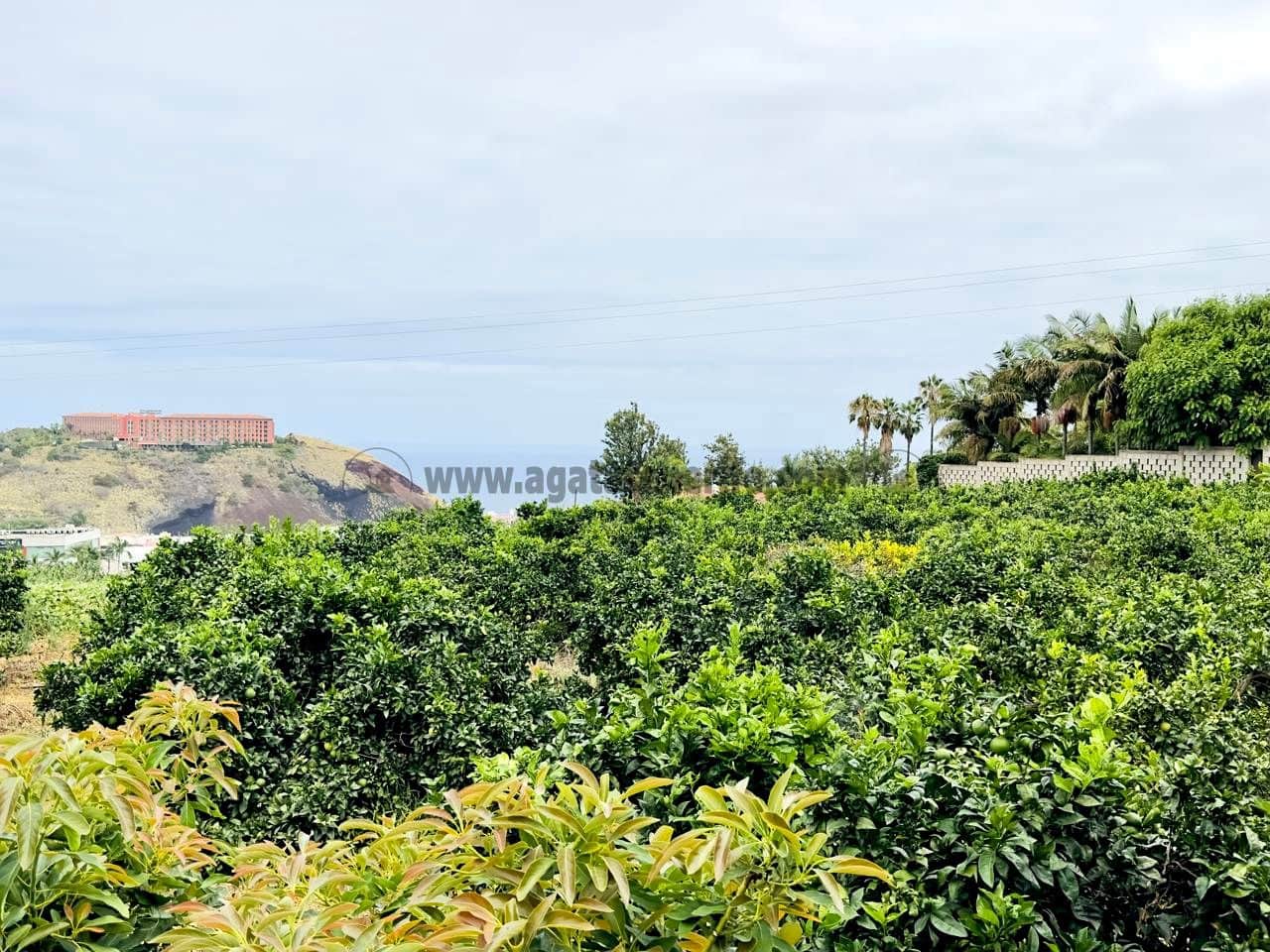 8 bedroom Finca/Country House for sale in La Orotava - € 1,400,000 (Ref: 9163184)