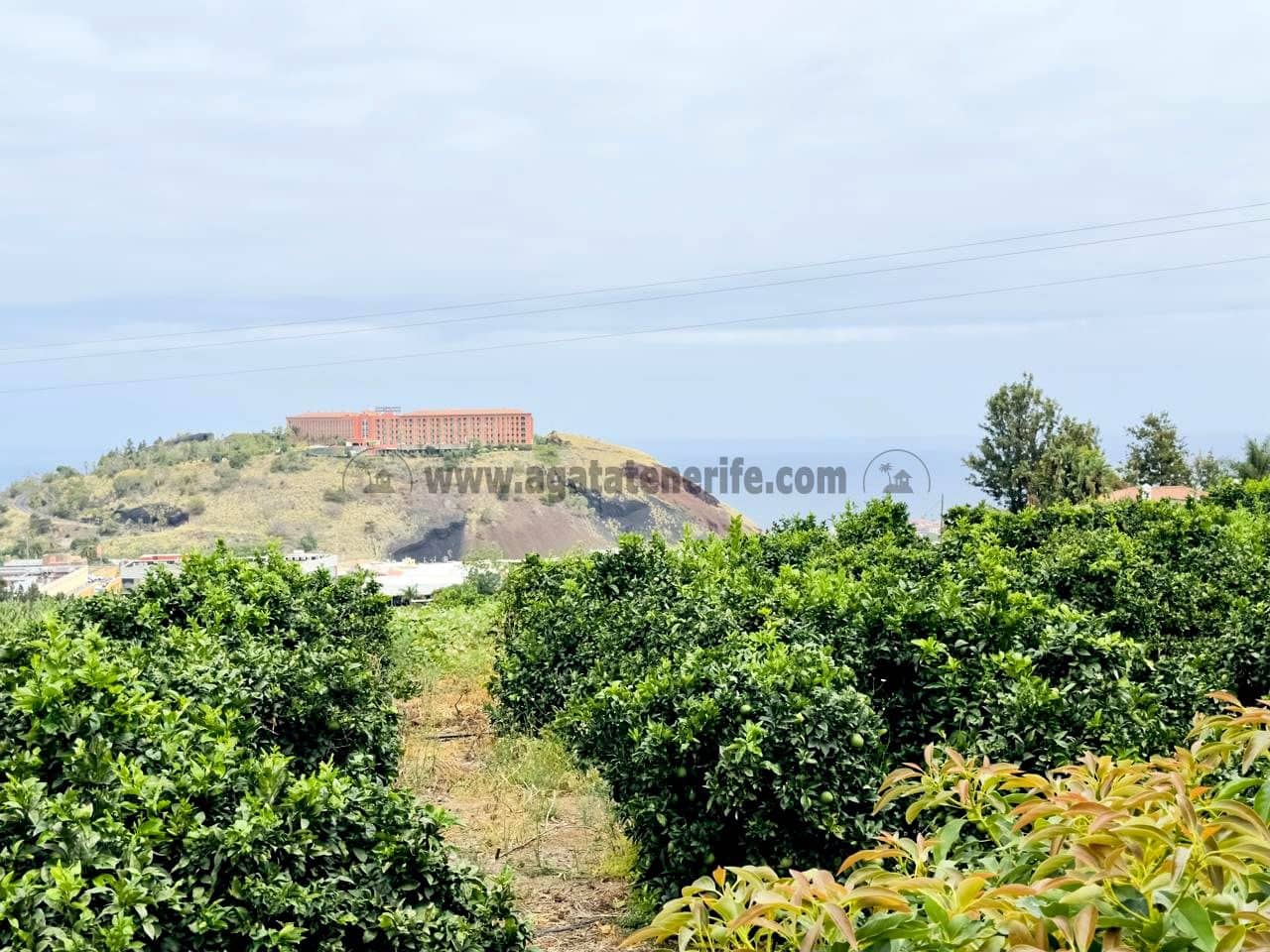 8 bedroom Finca/Country House for sale in La Orotava - € 1,400,000 (Ref: 9163184)