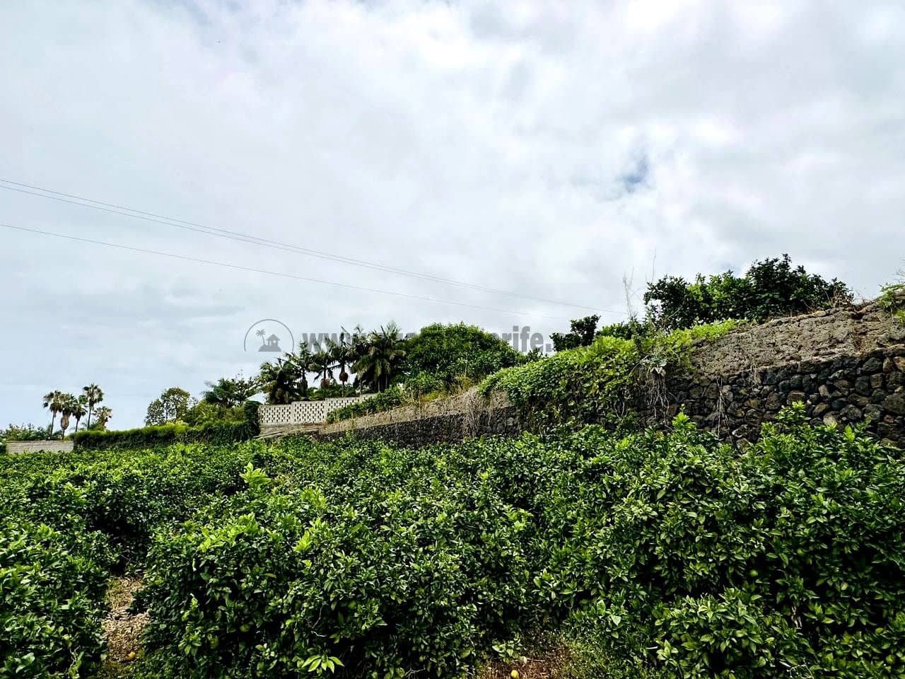 8 bedroom Finca/Country House for sale in La Orotava - € 1,400,000 (Ref: 9163184)