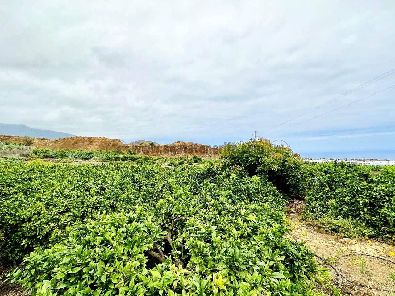 8 bedroom Finca/Country House for sale in La Orotava - € 1,400,000 (Ref: 9163184)