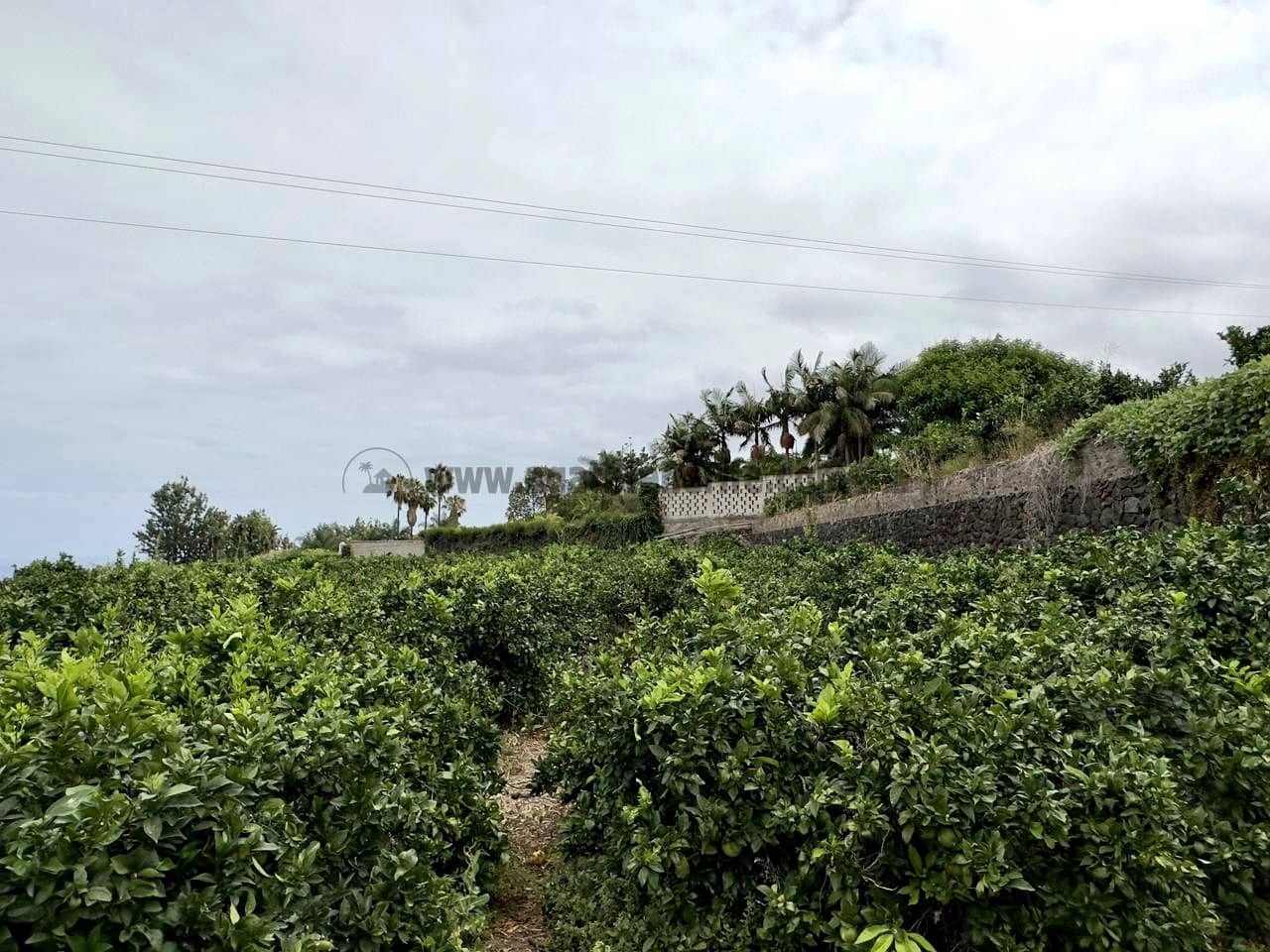 8 bedroom Finca/Country House for sale in La Orotava - € 1,400,000 (Ref: 9163184)