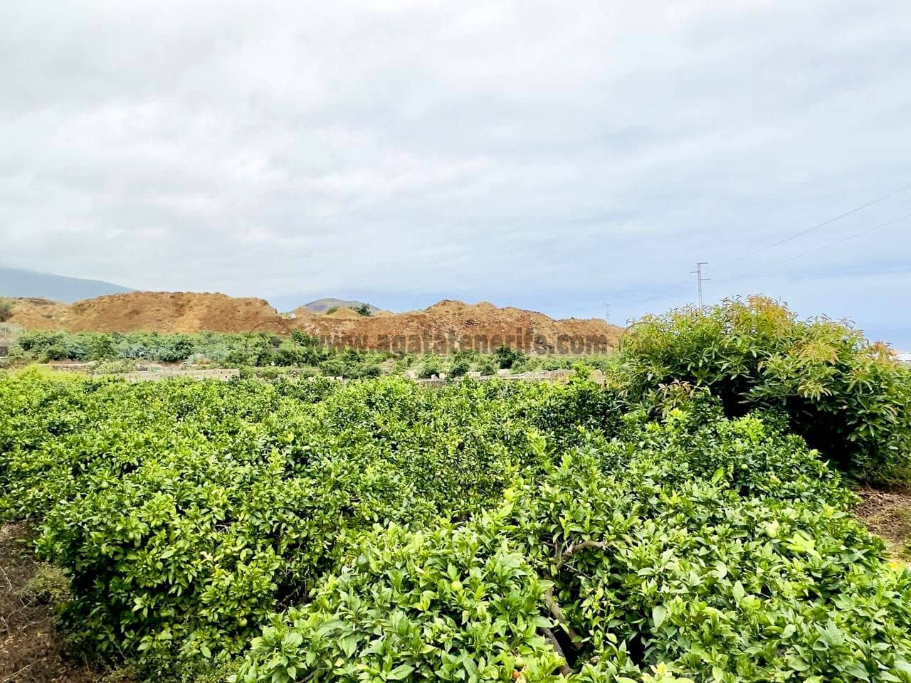 8 bedroom Finca/Country House for sale in La Orotava - € 1,400,000 (Ref: 9163184)