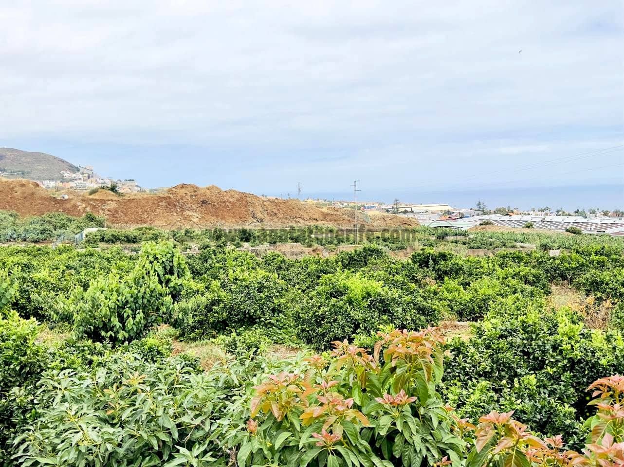 8 bedroom Finca/Country House for sale in La Orotava - € 1,400,000 (Ref: 9163184)