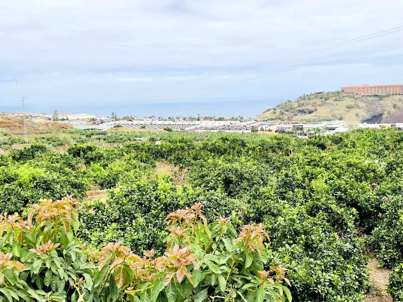 8 bedroom Finca/Country House for sale in La Orotava - € 1,400,000 (Ref: 9163184)