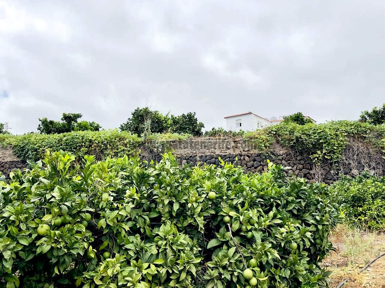 8 bedroom Finca/Country House for sale in La Orotava - € 1,400,000 (Ref: 9163184)