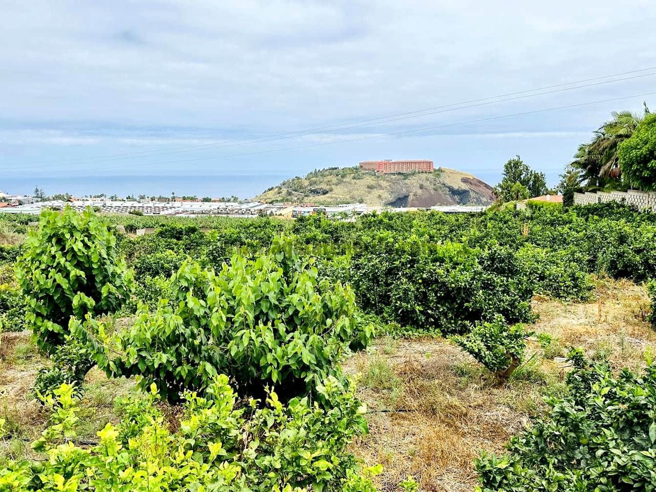 8 bedroom Finca/Country House for sale in La Orotava - € 1,400,000 (Ref: 9163184)