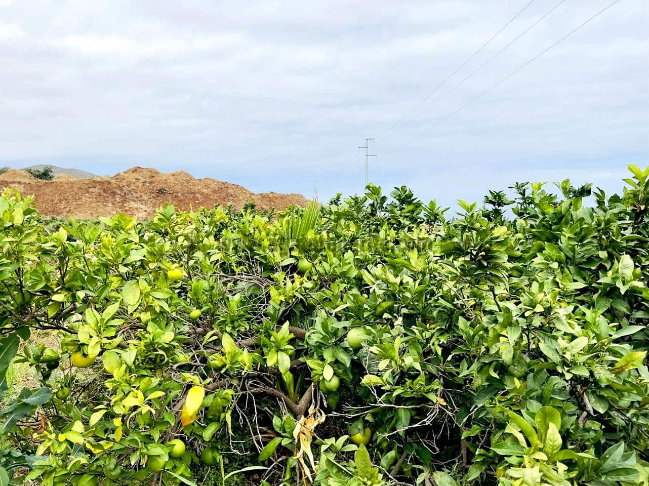 8 bedroom Finca/Country House for sale in La Orotava - € 1,400,000 (Ref: 9163184)