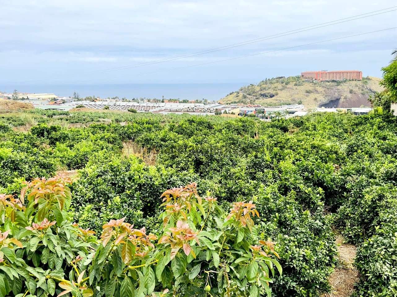 8 bedroom Finca/Country House for sale in La Orotava - € 1,400,000 (Ref: 9163184)