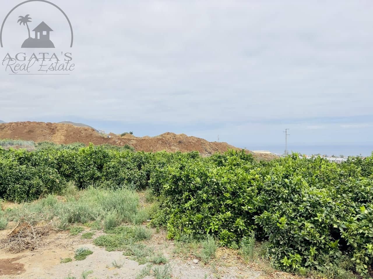 8 bedroom Finca/Country House for sale in La Orotava - € 1,400,000 (Ref: 9163184)