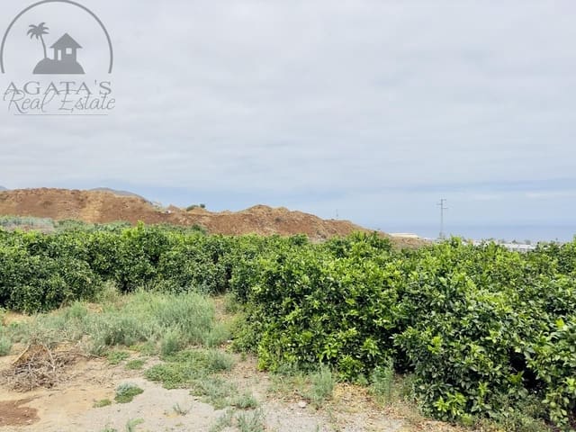 8 chambre Finca/Maison de Campagne à vendre à La Orotava - 1 400 000 € (Ref: 9163184)