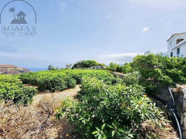 8 chambre Finca/Maison de Campagne à vendre à La Orotava - 1 400 000 € (Ref: 9163184)