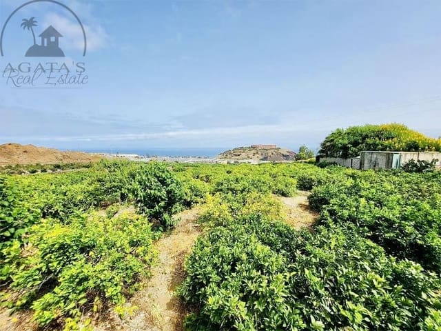 8 chambre Finca/Maison de Campagne à vendre à La Orotava - 1 400 000 € (Ref: 9163184)