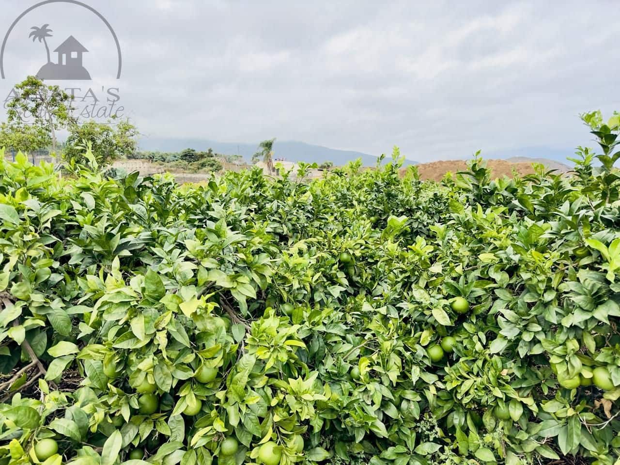 8 bedroom Finca/Country House for sale in La Orotava - € 1,400,000 (Ref: 9163184)