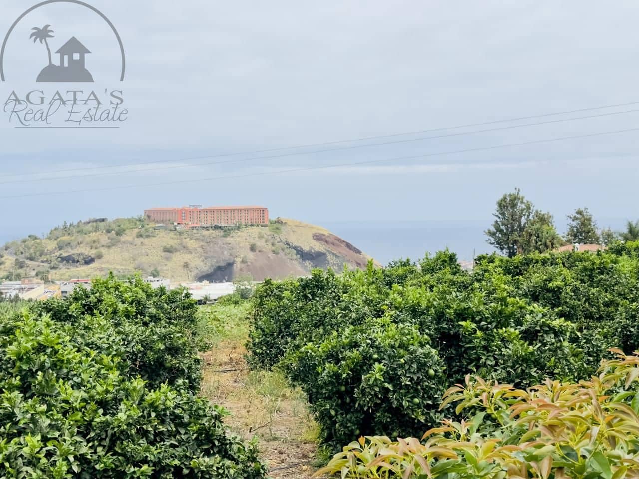 8 bedroom Finca/Country House for sale in La Orotava - € 1,400,000 (Ref: 9163184)