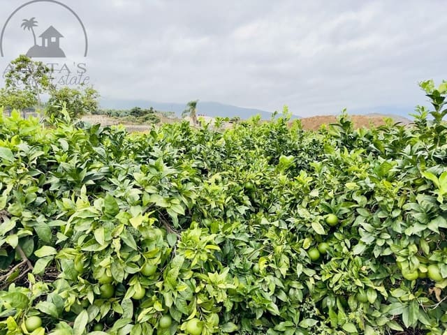 8 chambre Finca/Maison de Campagne à vendre à La Orotava - 1 400 000 € (Ref: 9163184)