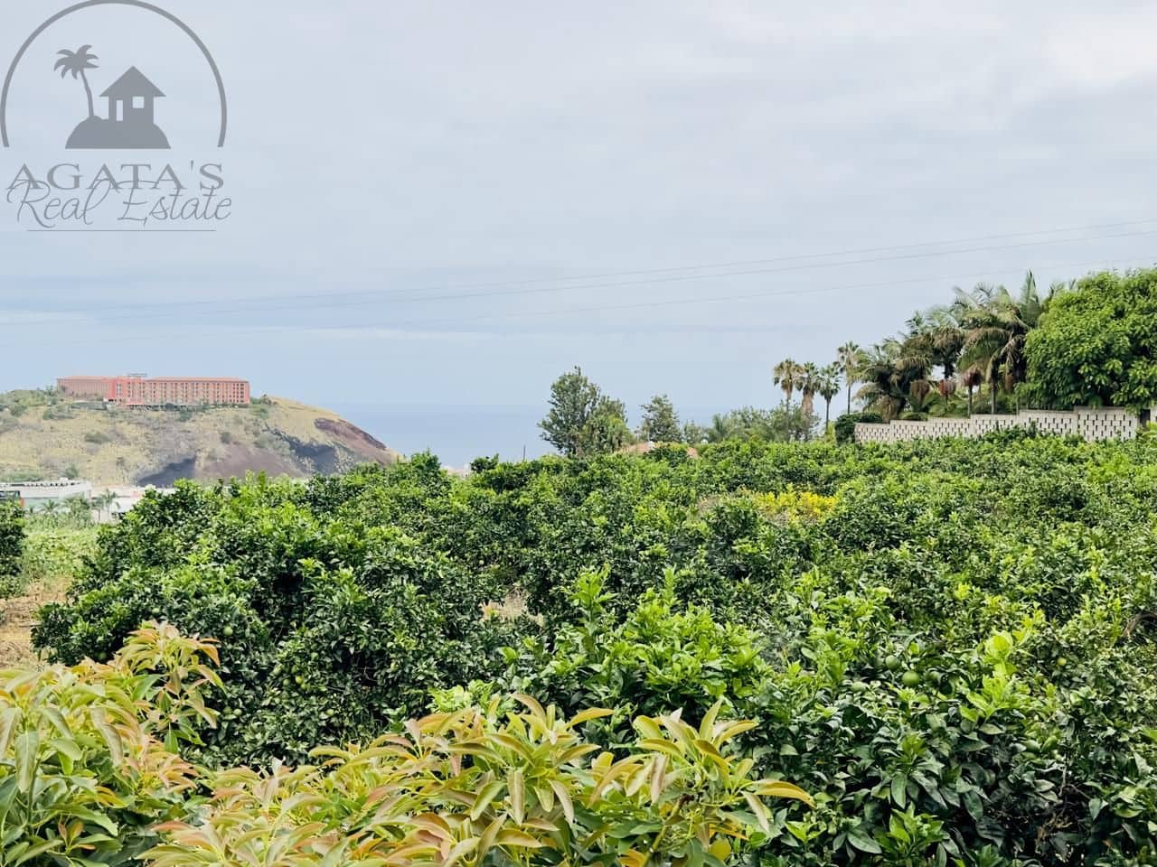 8 bedroom Finca/Country House for sale in La Orotava - € 1,400,000 (Ref: 9163184)