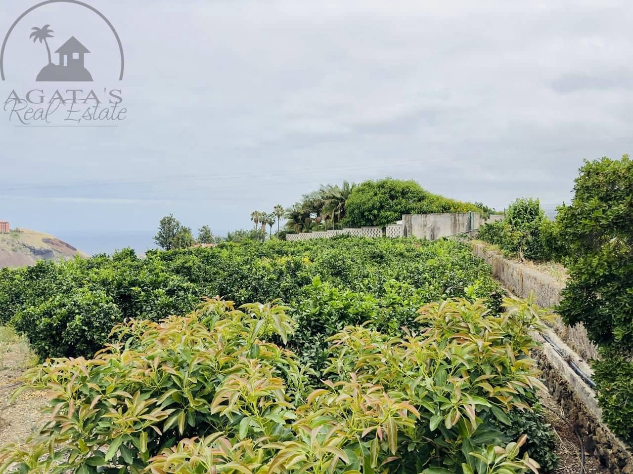 8 bedroom Finca/Country House for sale in La Orotava - € 1,400,000 (Ref: 9163184)