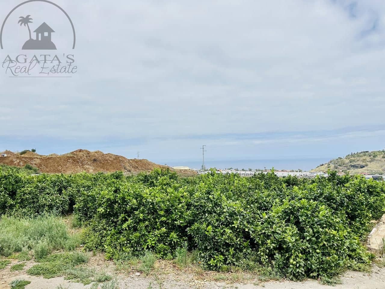 8 bedroom Finca/Country House for sale in La Orotava - € 1,400,000 (Ref: 9163184)