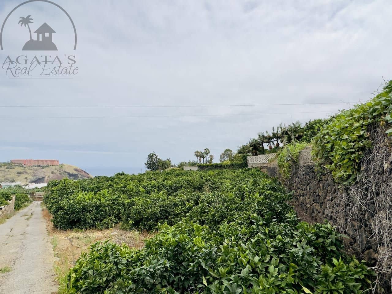 8 bedroom Finca/Country House for sale in La Orotava - € 1,400,000 (Ref: 9163184)