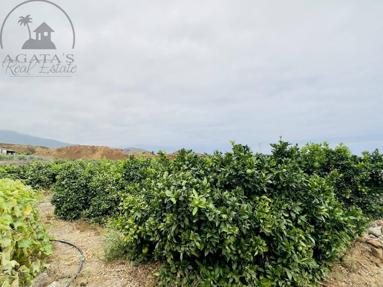 8 bedroom Finca/Country House for sale in La Orotava - € 1,400,000 (Ref: 9163184)