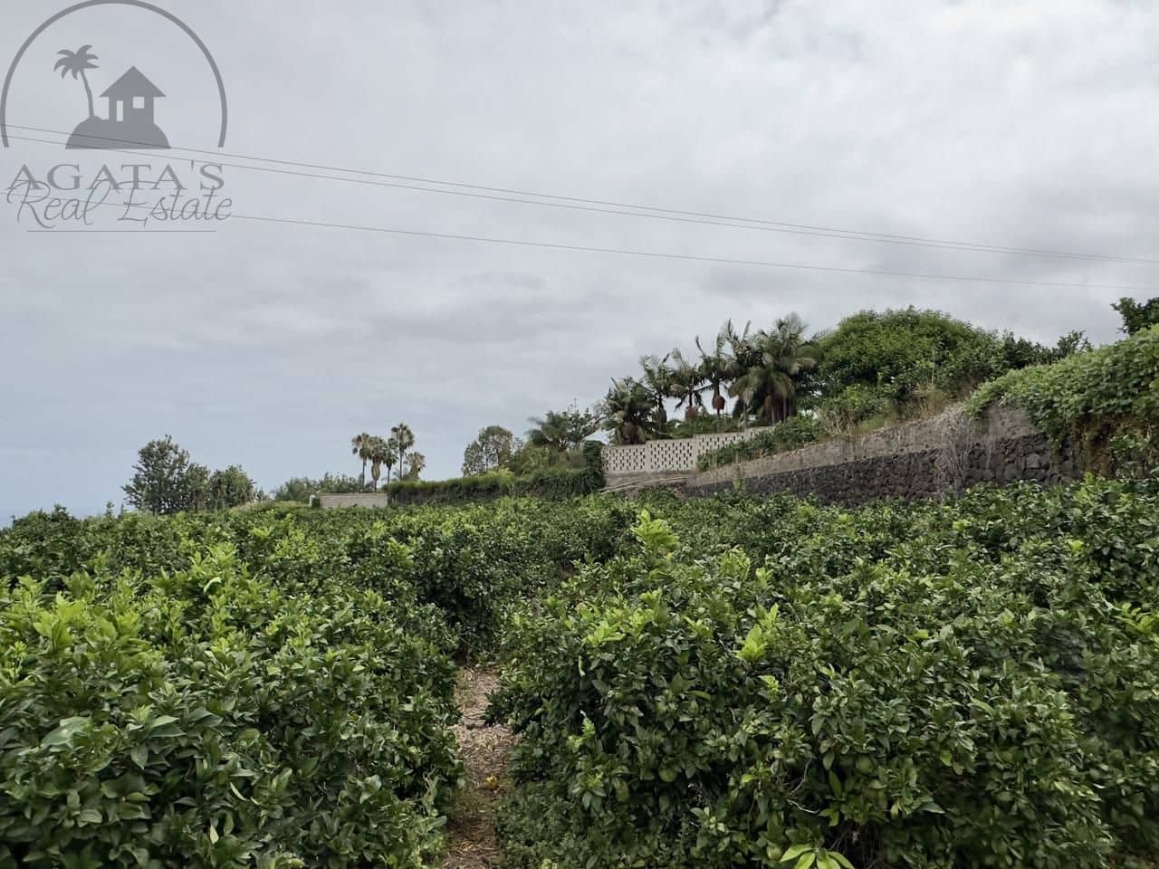 8 bedroom Finca/Country House for sale in La Orotava - € 1,400,000 (Ref: 9163184)