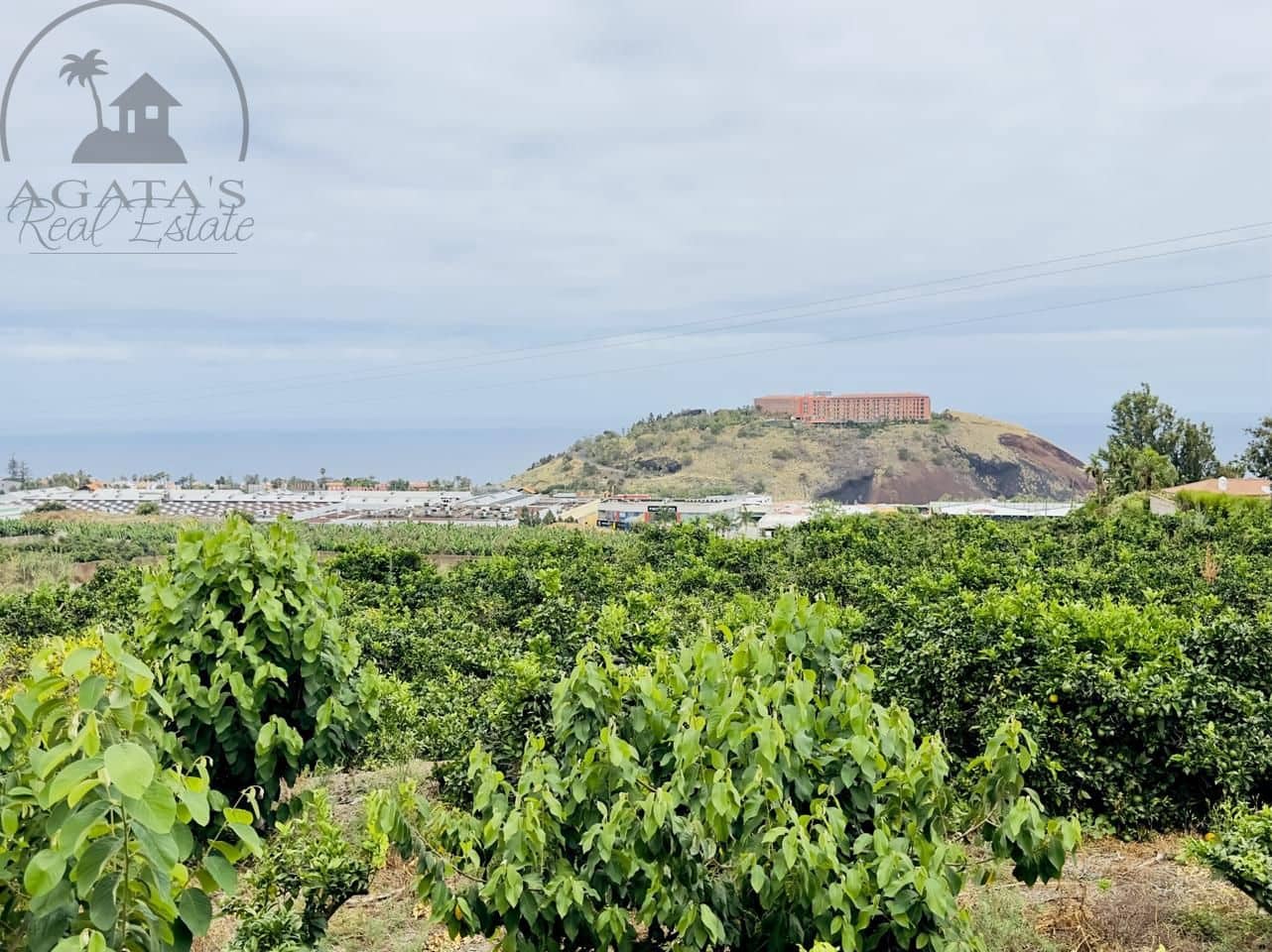 8 bedroom Finca/Country House for sale in La Orotava - € 1,400,000 (Ref: 9163184)