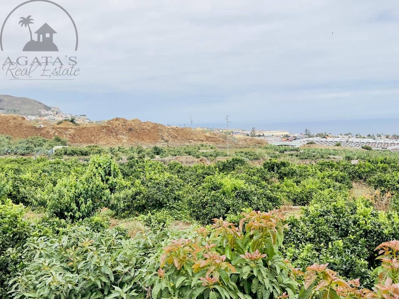 8 bedroom Finca/Country House for sale in La Orotava - € 1,400,000 (Ref: 9163184)