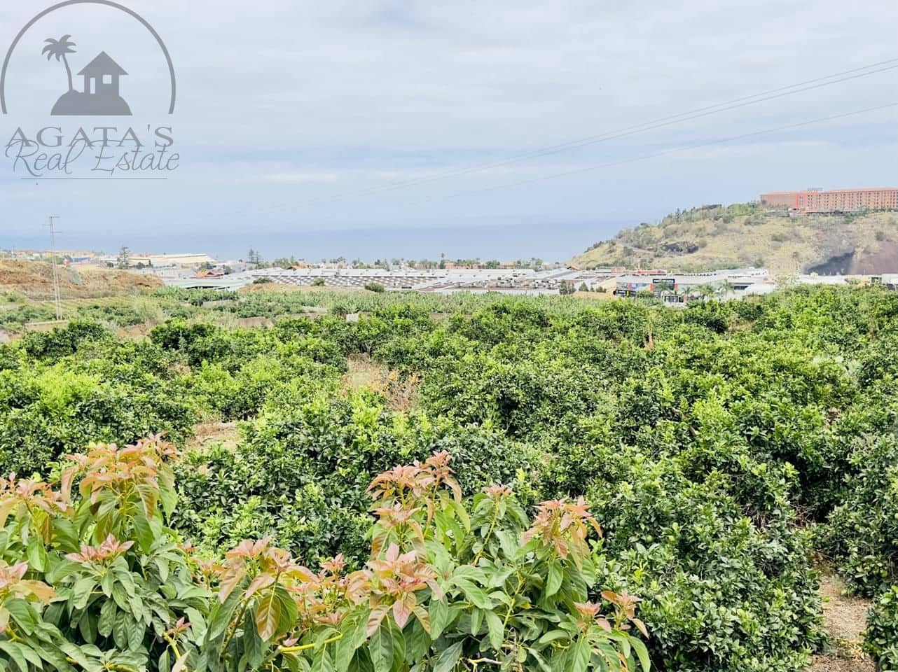 8 bedroom Finca/Country House for sale in La Orotava - € 1,400,000 (Ref: 9163184)