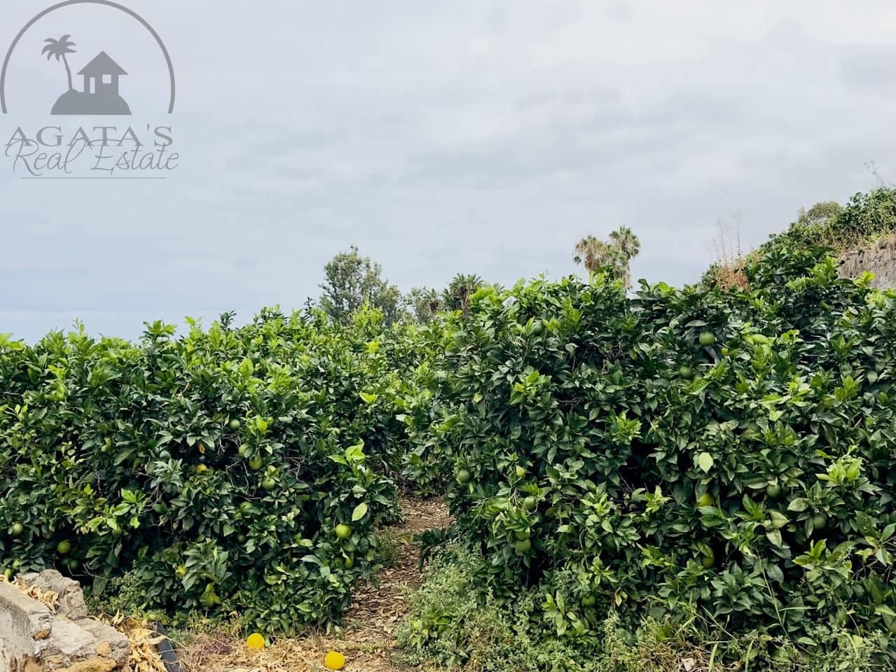 8 bedroom Finca/Country House for sale in La Orotava - € 1,400,000 (Ref: 9163184)