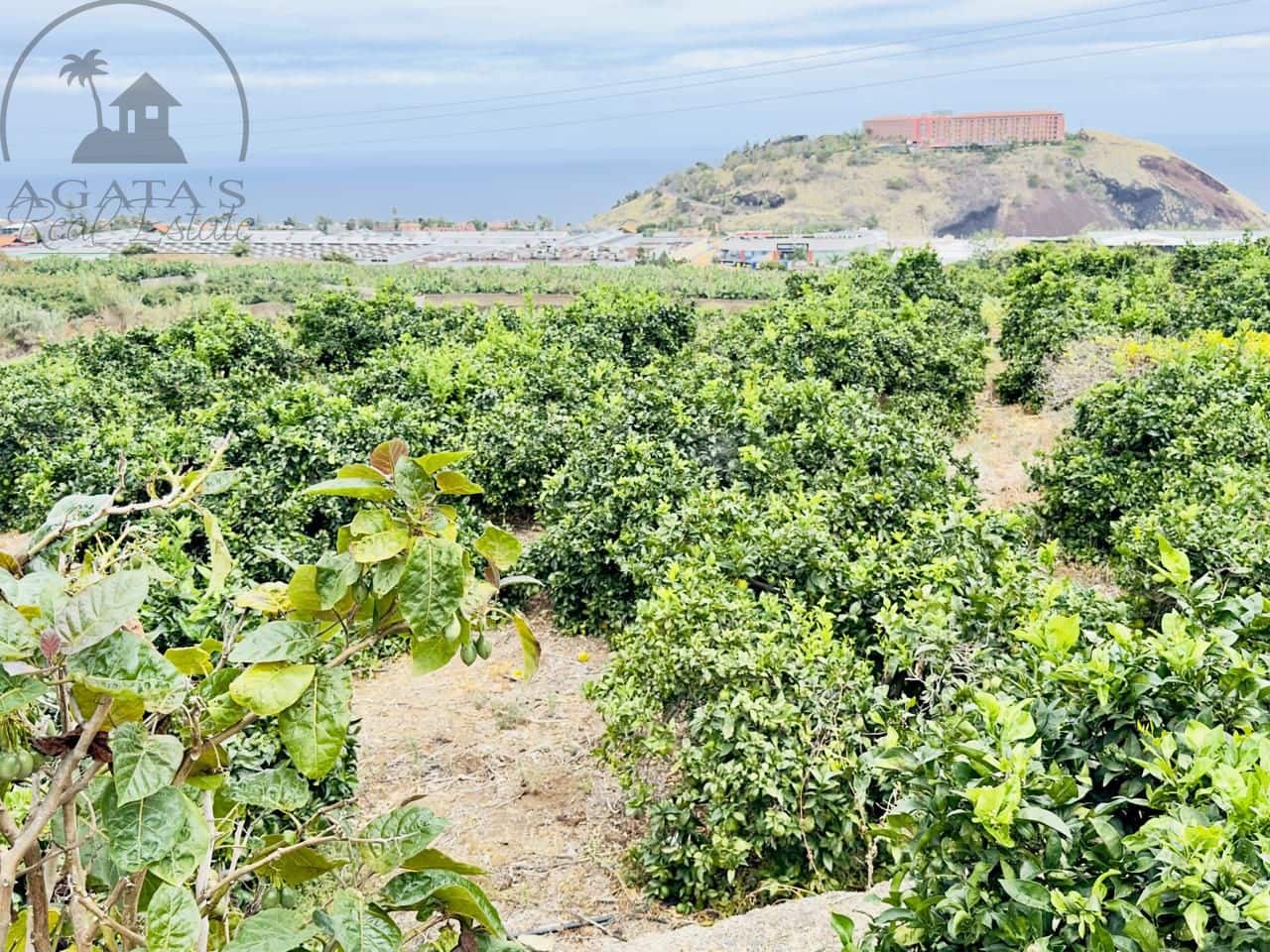 8 bedroom Finca/Country House for sale in La Orotava - € 1,400,000 (Ref: 9163184)