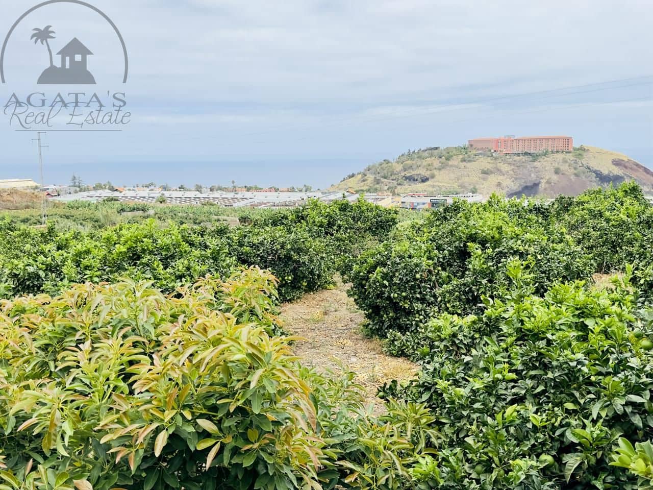 8 bedroom Finca/Country House for sale in La Orotava - € 1,400,000 (Ref: 9163184)