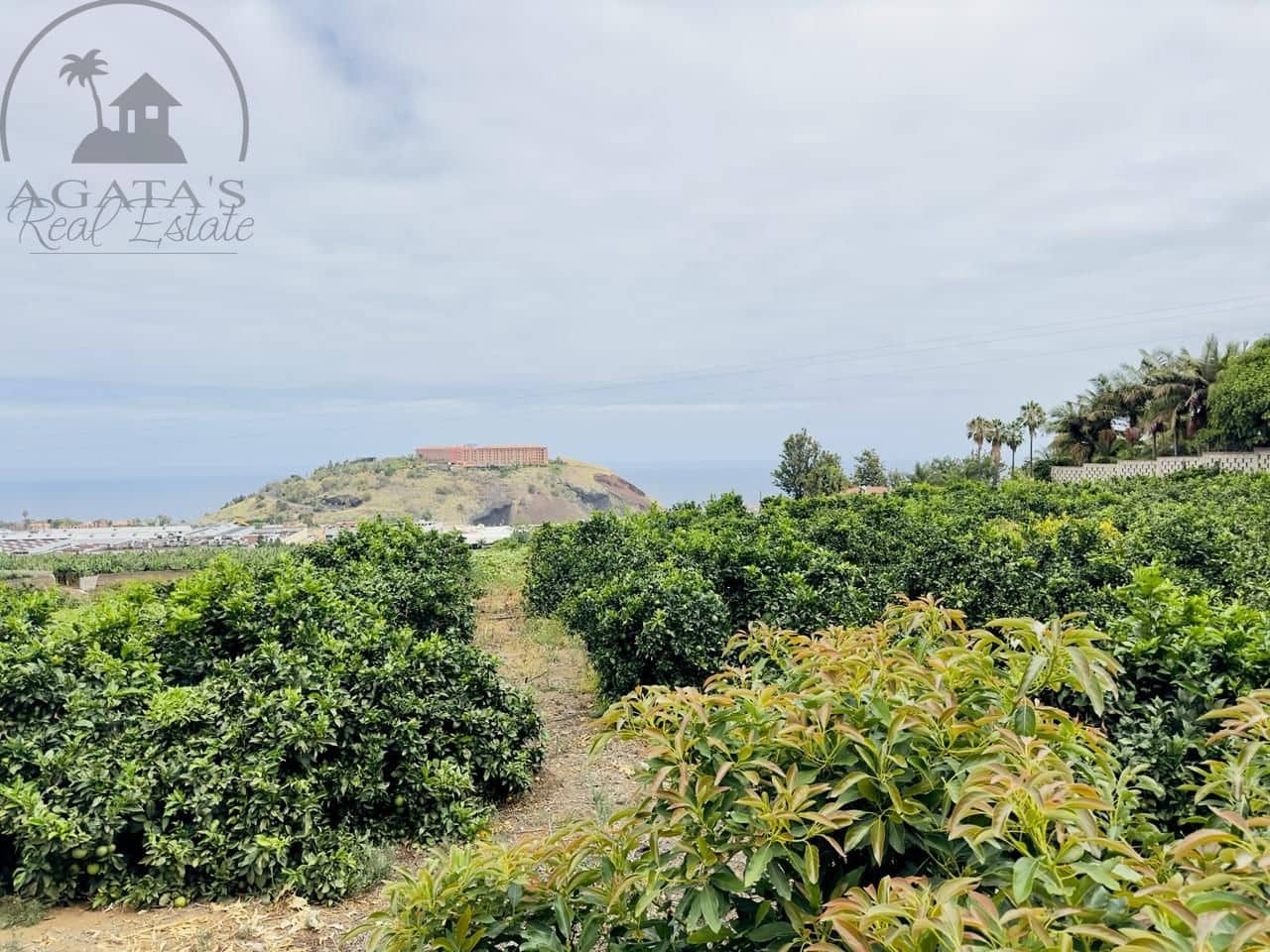 8 bedroom Finca/Country House for sale in La Orotava - € 1,400,000 (Ref: 9163184)