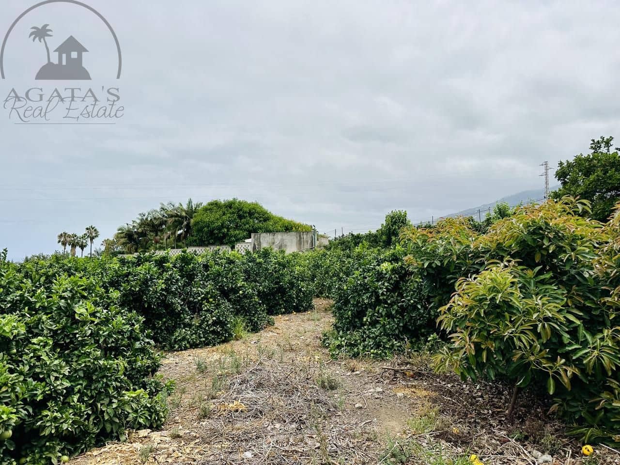 8 bedroom Finca/Country House for sale in La Orotava - € 1,400,000 (Ref: 9163184)