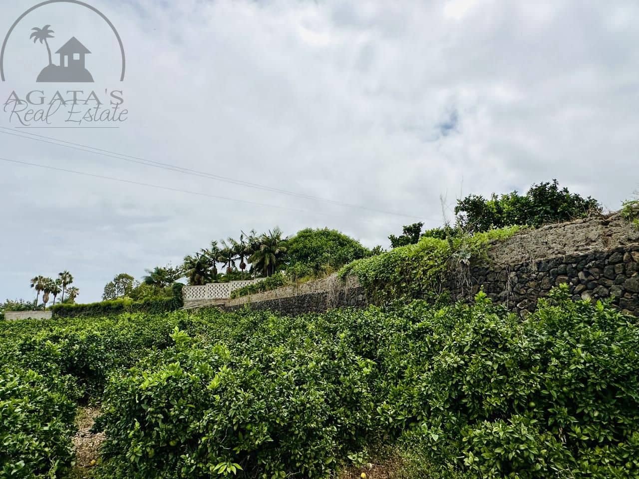 8 bedroom Finca/Country House for sale in La Orotava - € 1,400,000 (Ref: 9163184)