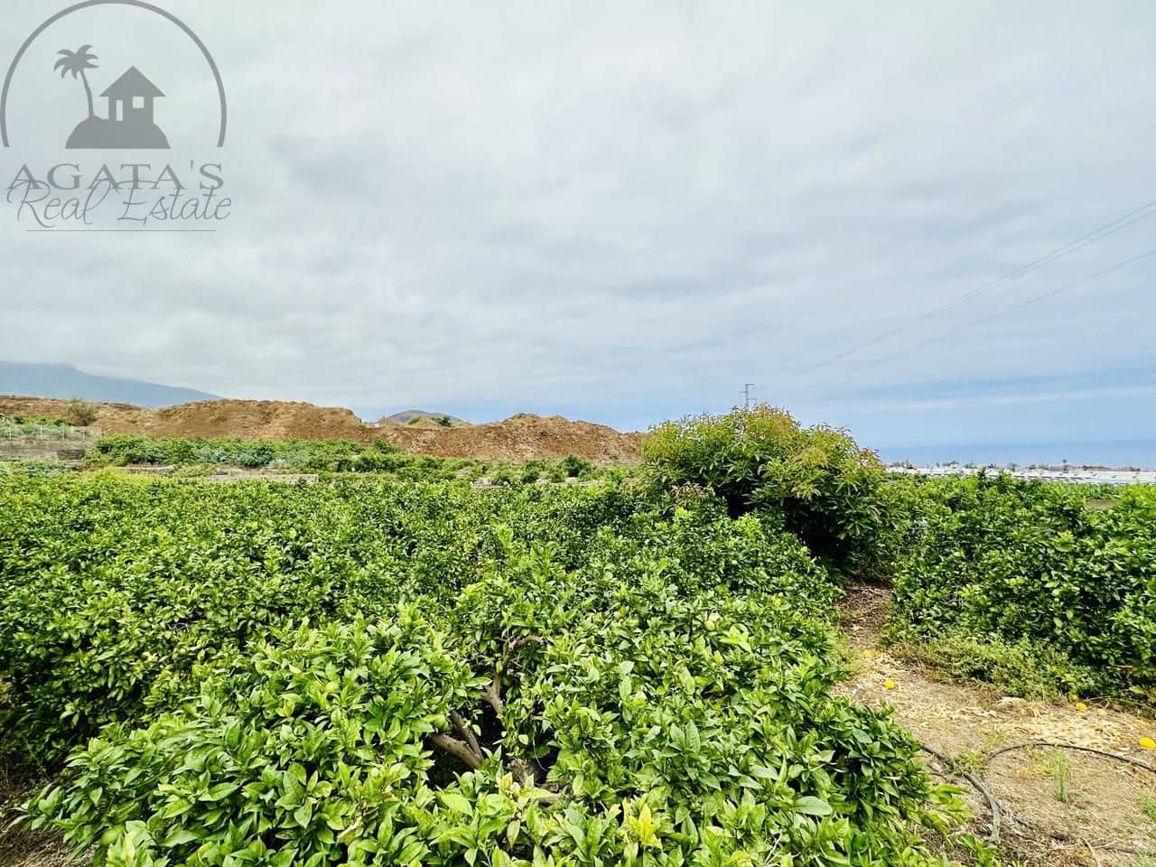 8 bedroom Finca/Country House for sale in La Orotava - € 1,400,000 (Ref: 9163184)