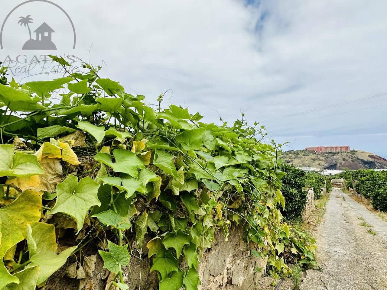 8 bedroom Finca/Country House for sale in La Orotava - € 1,400,000 (Ref: 9163184)