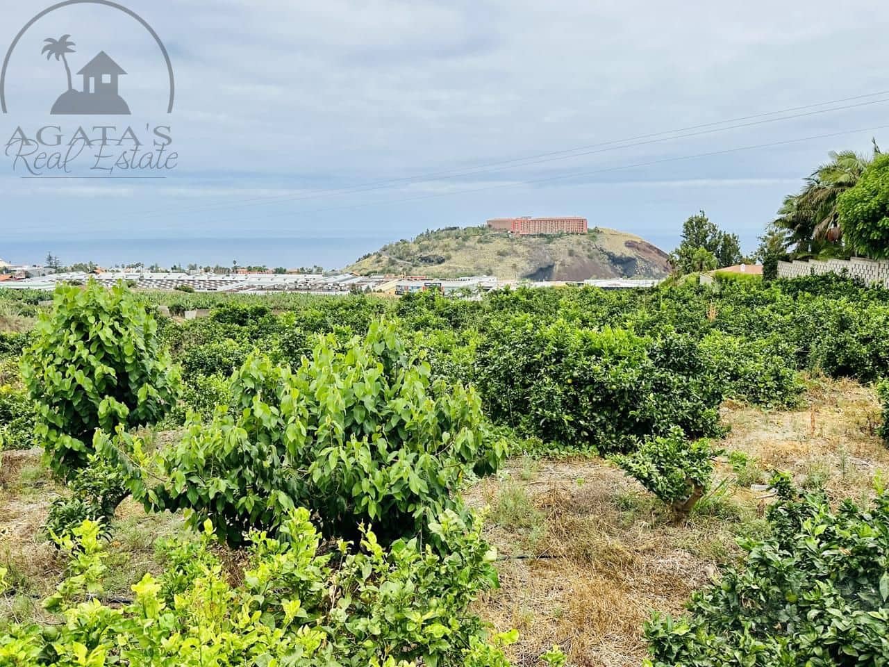 8 bedroom Finca/Country House for sale in La Orotava - € 1,400,000 (Ref: 9163184)