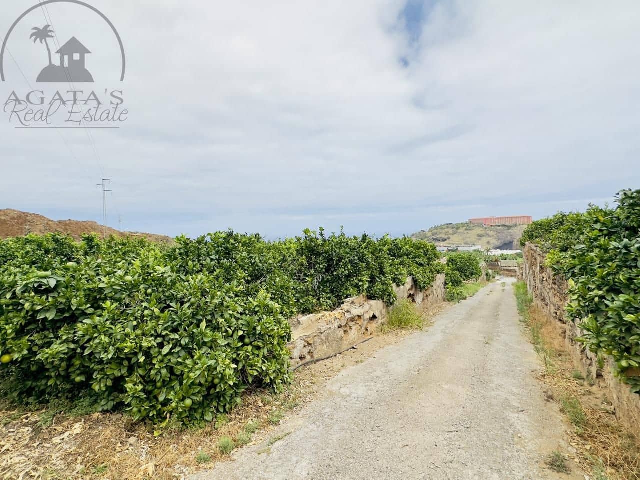 8 bedroom Finca/Country House for sale in La Orotava - € 1,400,000 (Ref: 9163184)