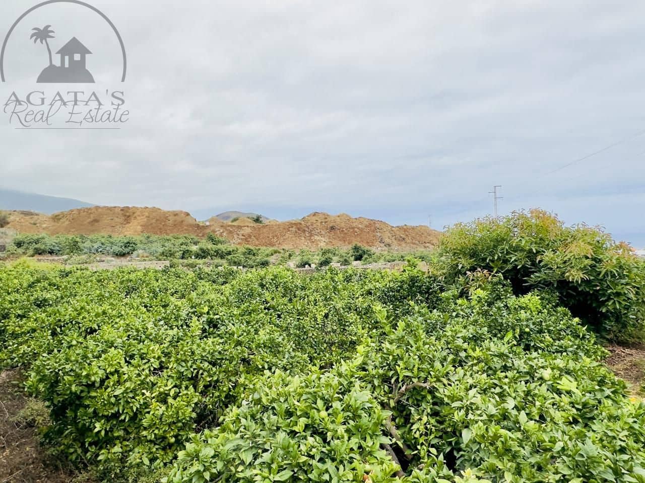 8 bedroom Finca/Country House for sale in La Orotava - € 1,400,000 (Ref: 9163184)