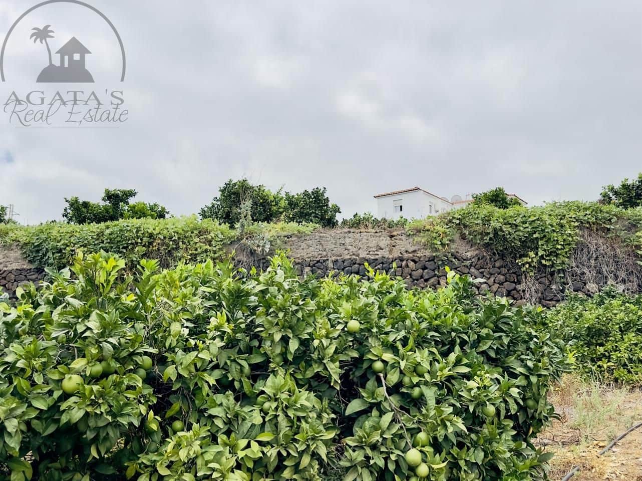 8 bedroom Finca/Country House for sale in La Orotava - € 1,400,000 (Ref: 9163184)