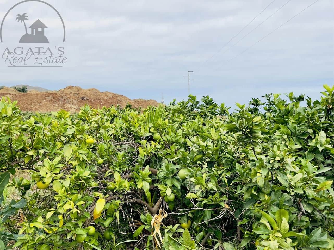 8 bedroom Finca/Country House for sale in La Orotava - € 1,400,000 (Ref: 9163184)