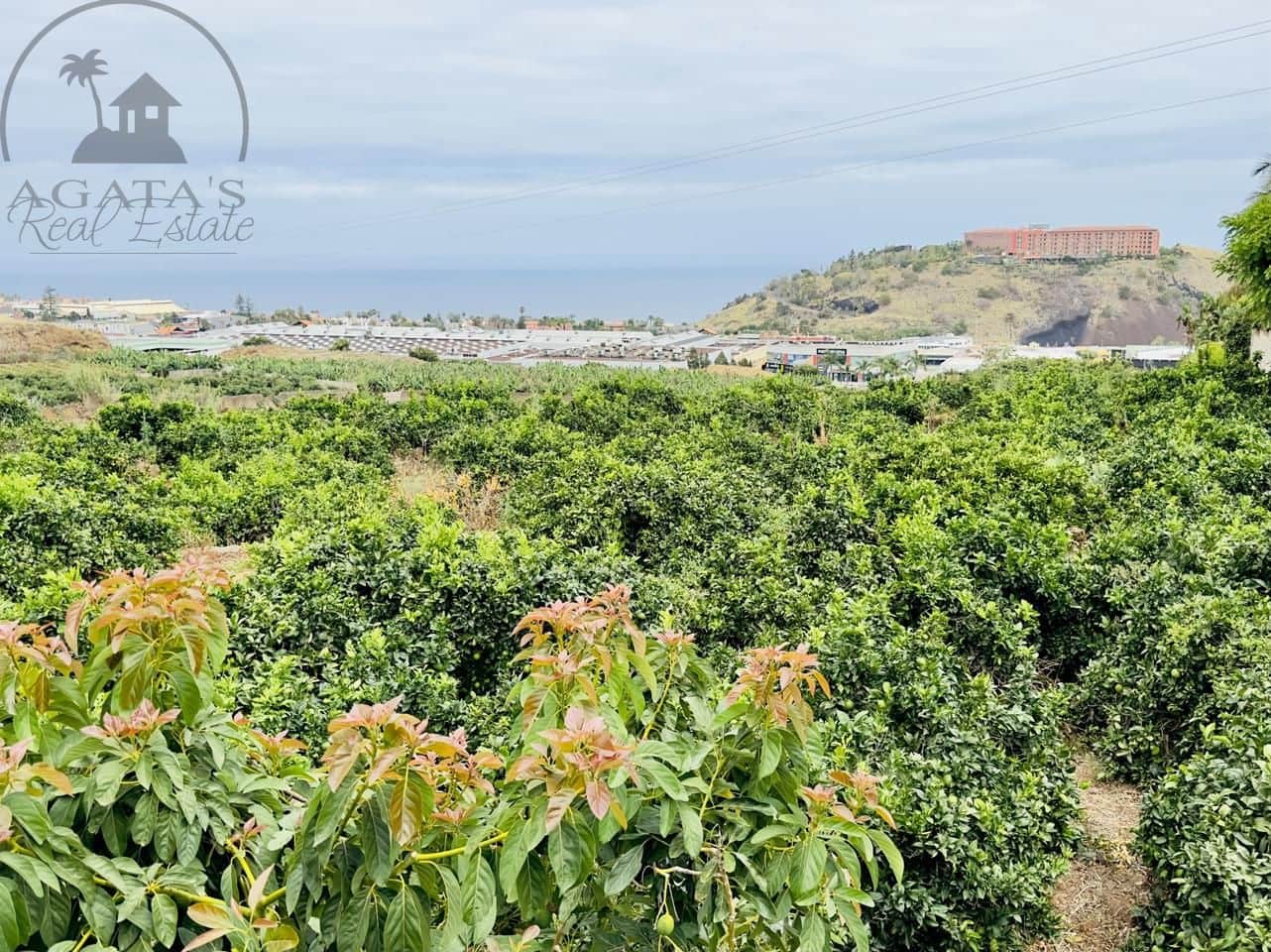 8 bedroom Finca/Country House for sale in La Orotava - € 1,400,000 (Ref: 9163184)