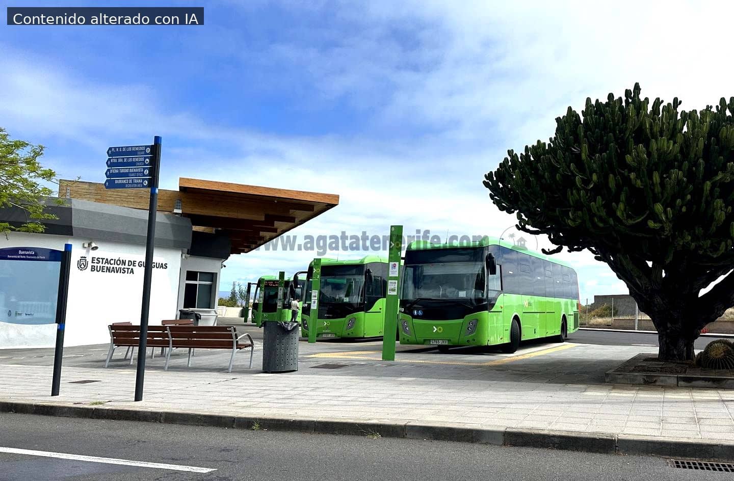 2 soveværelse Villa til salg i Buenavista del Norte - € 278.000 (Ref: 9198174)