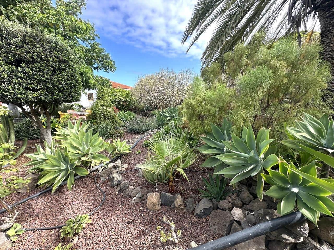 3 soveværelse Villa til salg i Buenavista del Norte med garage - € 1.145.000 (Ref: 9210418)