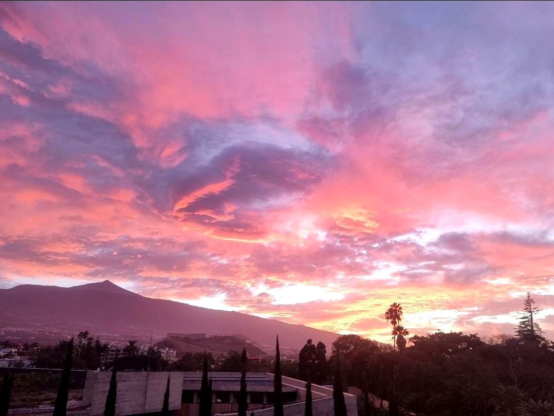 1 soveværelse Lejlighed til leje i Puerto de la Cruz - € 1.200 (Ref: 9231889)