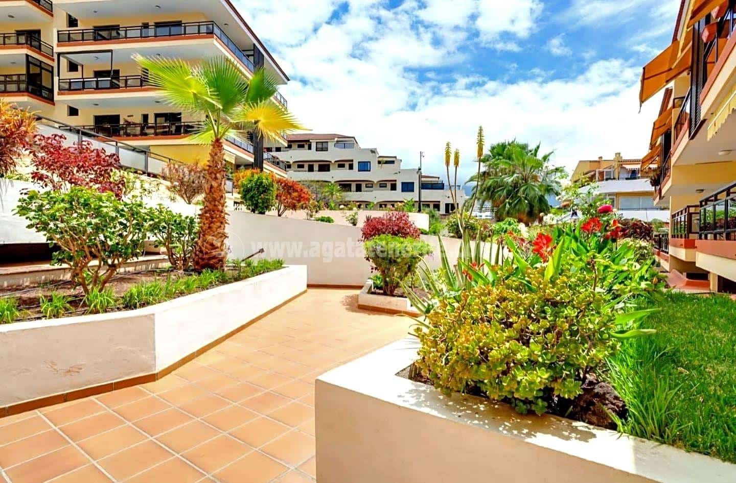 1 bedroom Flat for rent in Puerto de la Cruz with pool - € 1,250 (Ref: 9278323)