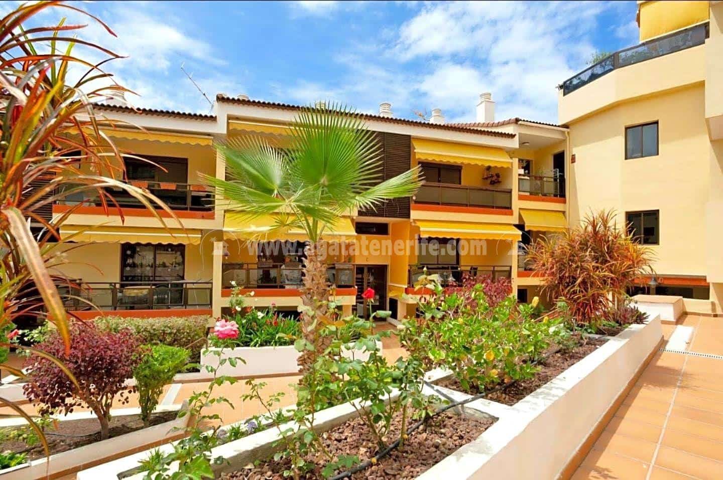 1 bedroom Flat for rent in Puerto de la Cruz with pool - € 1,250 (Ref: 9278323)