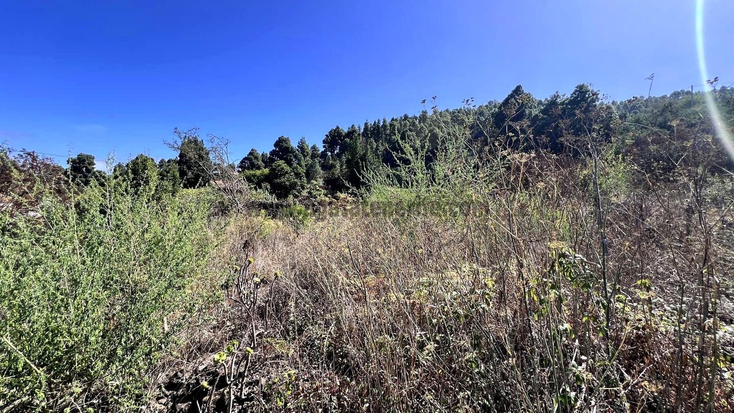 3 slaapkamer Finca/Landhuis te koop in Icod de los Vinos - € 120.000 (Ref: 9289608)