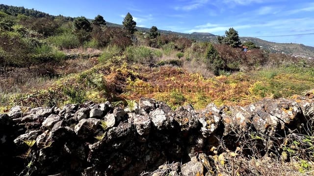 3 slaapkamer Finca/Landhuis te koop in Icod de los Vinos - € 120.000 (Ref: 9289608)